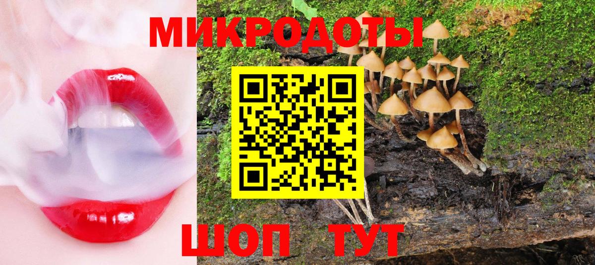 Галлюциногенные грибы GOLDEN TEACHER Йошкар-Ола